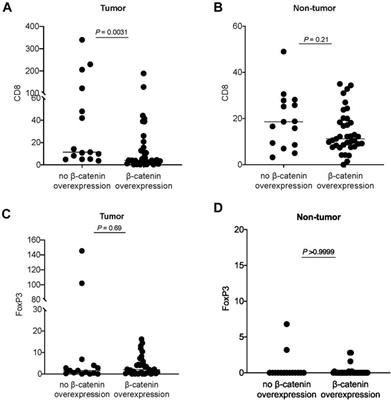 An Immunohistochemical Study of β-catenin Expression and Immune Cell Population in Metastatic Carcinoma to the Liver